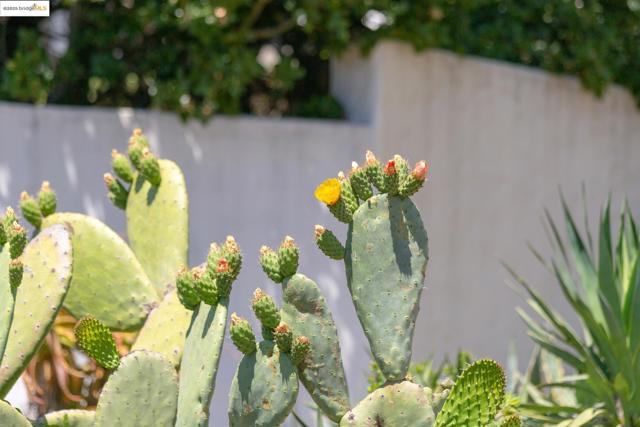 6801 Estates Dr, Oakland CA: https://media.crmls.org/mediaz/5898a002-becc-49fe-a7bf-d6b75b91c853.jpg