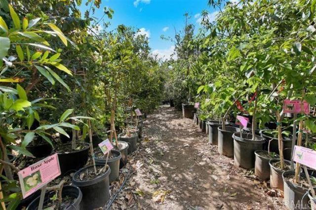 2081 Elevado Road, Vista CA: https://media.crmls.org/mediaz/589a7b6d-ac19-4c0a-a5dc-6688664497a5.jpg