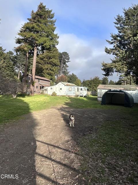 Front Image Thumbnail for CRC1-11257