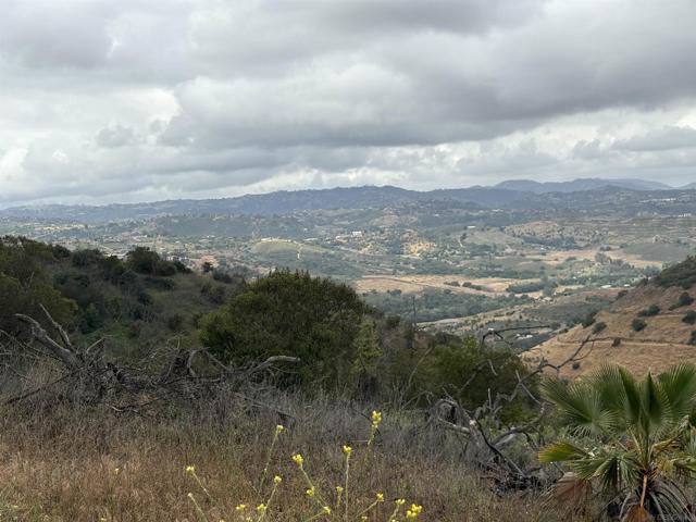 0 Santa Virginia Drive, Valley Center CA: https://media.crmls.org/mediaz/58a5146d-c8f7-4f84-8dd2-a01e2e5212ef.jpg