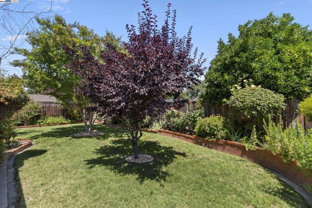 1128 Verona Ave, Livermore CA: https://media.crmls.org/mediaz/58b136d1-b15e-4bfc-9497-22dfb8187a59.jpg