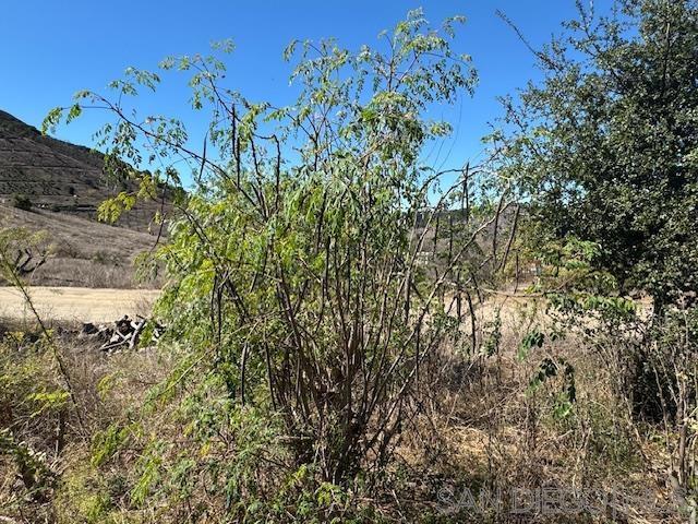 0 Santa Virginia Drive, Valley Center CA: https://media.crmls.org/mediaz/58b14651-c3f6-4353-862f-f806050f8129.jpg