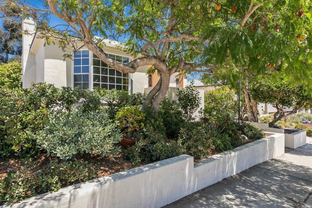 2853 Dove Street - photo 2