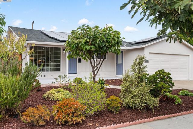Image 1 of 38 For 4431 Margery Dr