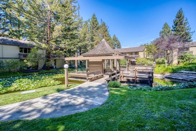 505 Cypress Point Drive, Mountain View CA: https://media.crmls.org/mediaz/58cc9707-64c8-4c0c-8cd1-61eae697748f.jpg