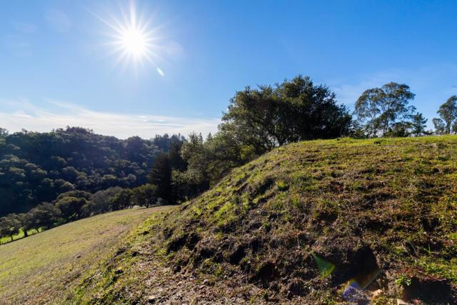 0 muir, Soquel CA: https://media.crmls.org/mediaz/58cce230-410b-4958-9de4-1f0471f85626.jpg