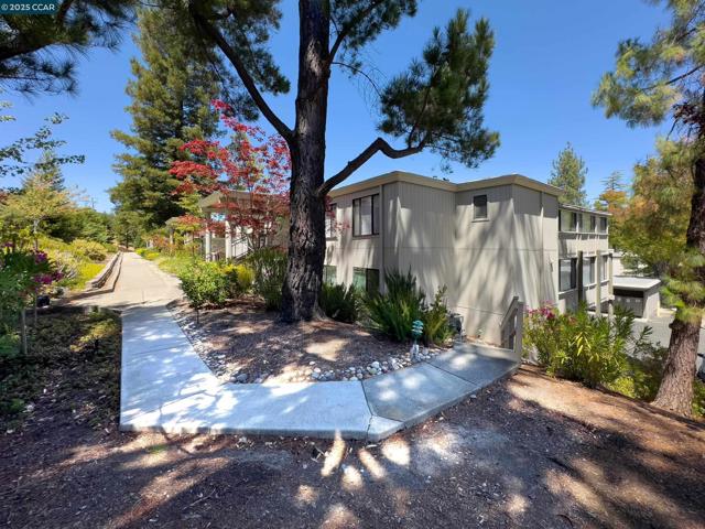1345 Singingwood Ct, Walnut Creek CA: https://media.crmls.org/mediaz/58d167e1-e0a7-4b63-b701-cba354a78f2b.jpg
