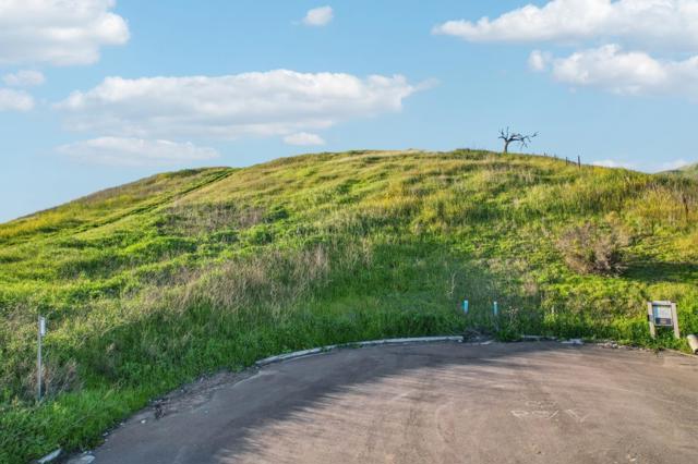 1339 Terra Vista Court, Milpitas CA: https://media.crmls.org/mediaz/58d774f2-c5f3-4dce-8aef-59280ea4caf2.jpg