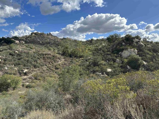 Detail Gallery Image 55 of 63 For 2494 Donnil Lane, Fallbrook,  CA 92028 - 3 Beds | 2 Baths