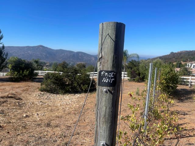 15068 Creek Hills Rd, El Cajon CA: https://media.crmls.org/mediaz/58dd07ae-ef0d-41f5-86cd-605d3b7bda95.jpg
