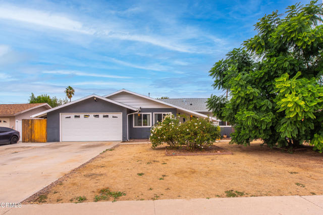 Front Image Thumbnail for CRV1-33381