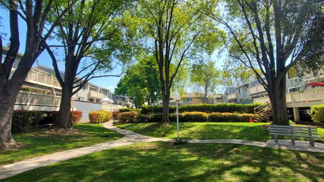 3467 Pinewood Terrace, Fremont CA: https://media.crmls.org/mediaz/58e241c1-1675-4a77-bafe-ec5afb0e6434.jpg