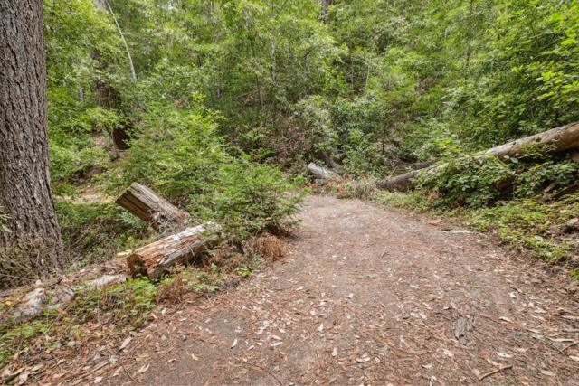 1365 Caledonia Avenue, Ben Lomond CA: https://media.crmls.org/mediaz/58e31132-2c99-4b43-b781-43a5a954bc52.jpg