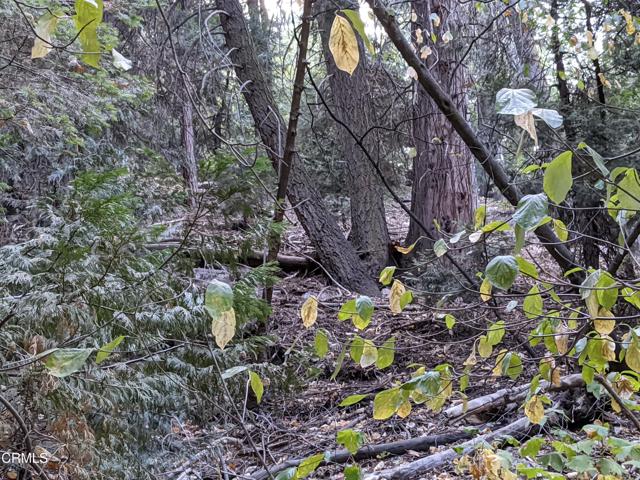 Detail Gallery Image 5 of 14 For 0 Fleming Creek, Lake Arrowhead,  CA 92352 - – Beds | – Baths