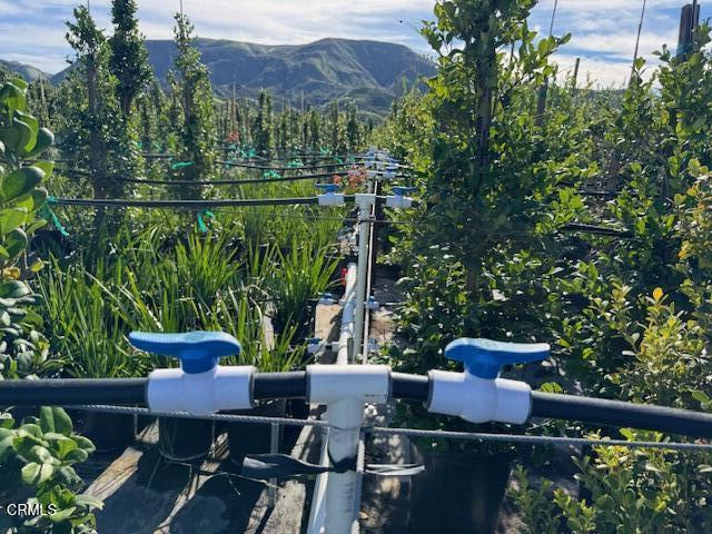 Detail Gallery Image 26 of 41 For 2245 California St, Fillmore,  CA 93015 - 2 Beds | 1 Baths