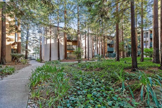 150 Sharene Ln, Walnut Creek CA: https://media.crmls.org/mediaz/58f71bf9-3607-4348-81f9-9f8a5341d2a0.jpg