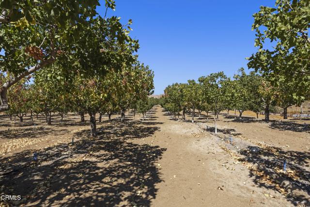 Detail Gallery Image 58 of 61 For 115 Quatal Canyon Rd, Unincorporated,  CA 93252 - – Beds | – Baths