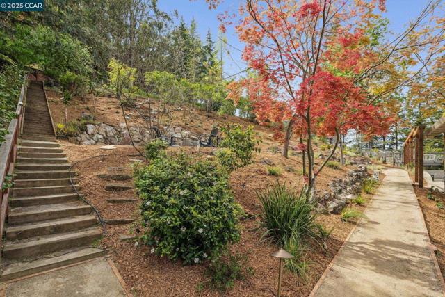 1019 Silverhill Drive, Lafayette CA: https://media.crmls.org/mediaz/58f9d909-bb37-44f1-a468-743a5c681225.jpg