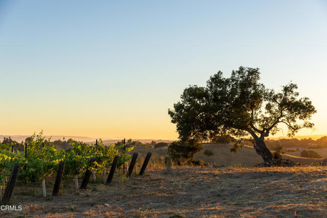 Detail Gallery Image 44 of 51 For 3001 Long Valley Rd, Santa Ynez,  CA 93460 - 6 Beds | 6/2 Baths