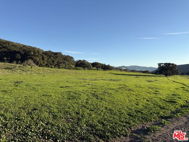 Image 9 of 33 For 1701 Hwy 246