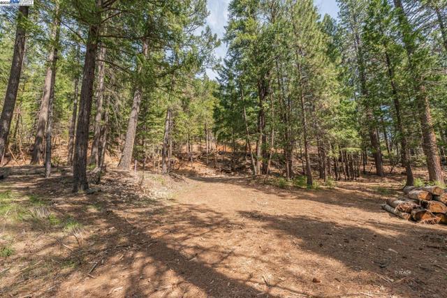 121 Mountain Aire Ln, Trinity Center CA: https://media.crmls.org/mediaz/5929c6dc-115f-4378-84cb-d3a1048e9ec7.jpg