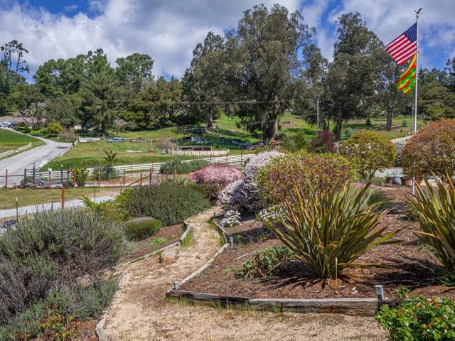 20150 Tarawild Court, Prunedale CA: https://media.crmls.org/mediaz/593d2d6c-6868-4d02-a27c-efcd7aa18797.jpg
