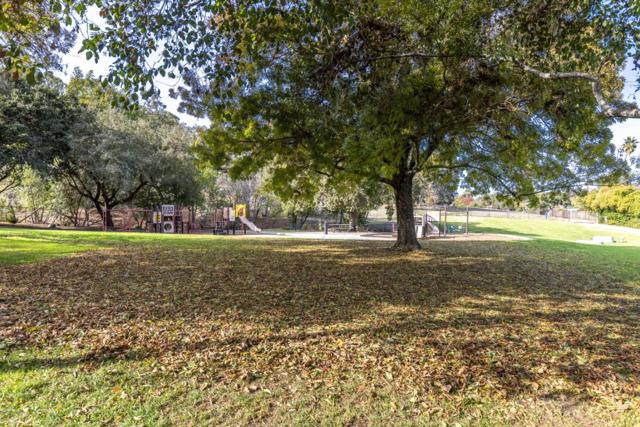 0 Canyon, Redwood City CA: https://media.crmls.org/mediaz/593f9cba-7b5d-4f6f-8a60-2e5dc9b4cf29.jpg