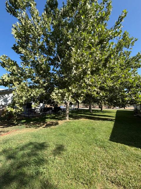 12445 Alta Mesa Road, Herald CA: https://media.crmls.org/mediaz/59400dae-8750-4734-bc95-b0a825fc8afd.jpg