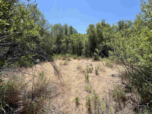 Detail Gallery Image 15 of 17 For Riverside Dr, Descanso,  CA 91916 - – Beds | – Baths