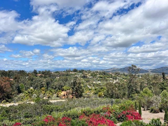 13495 Del Poniente Road, Poway CA: https://media.crmls.org/mediaz/59449d87-5b33-49e5-9300-69ff9e571303.jpg