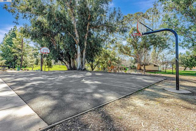 Image 57 of 60 For 25660 Paul Ct