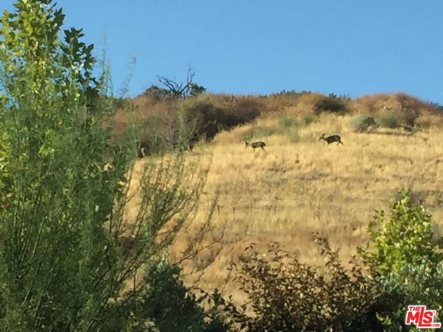 18648 Juniper Springs Drive, Canyon Country CA: https://media.crmls.org/mediaz/59563bc3-baf5-4ba5-abf0-f92684700579.jpg
