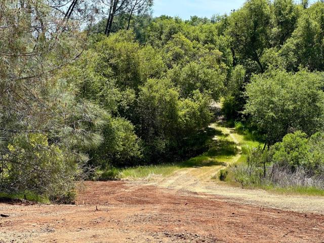 Image 16 of 19 For 0 El Caminito Road