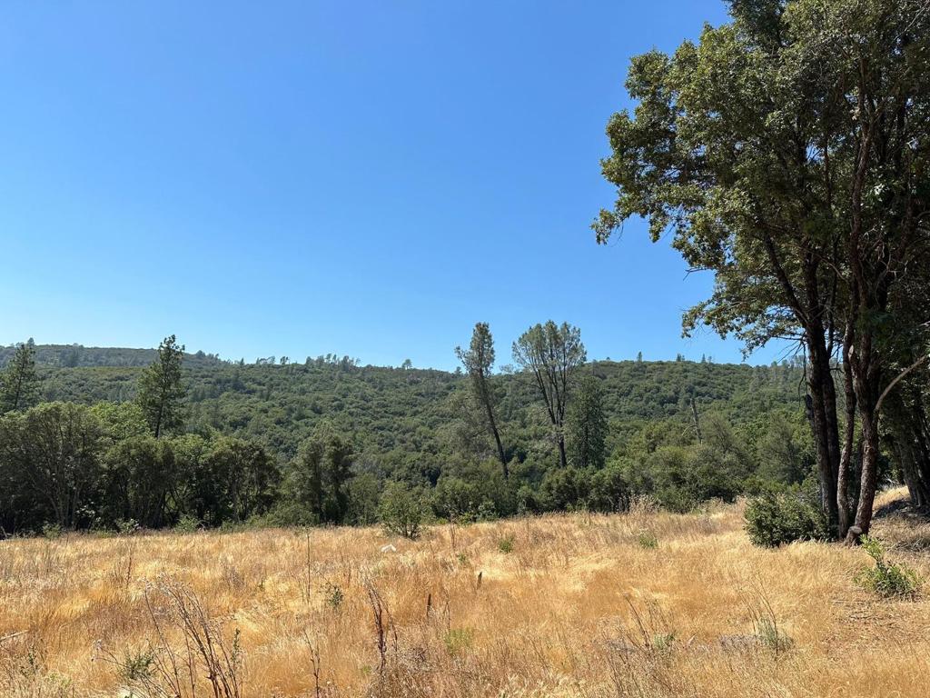 MLS #ML81974509 image #5