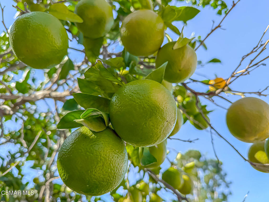 https://media.crmls.org/mediaz/5969d042-35ec-41ce-b57e-9419b6303c4c.jpg?preset=X-Large