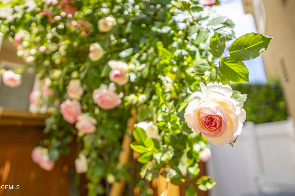 https://media.crmls.org/mediaz/596ec041-b6ce-4be9-91c8-45c81775829f.jpg?preset=X-Large