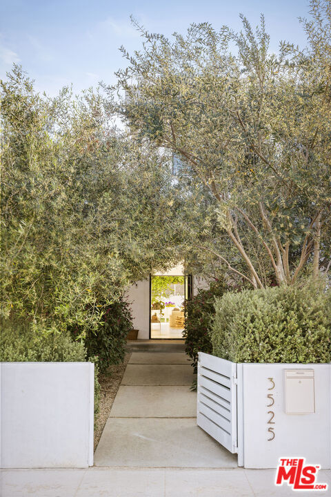 3525 Barry Avenue, Los Angeles CA: https://media.crmls.org/mediaz/597eecd0-6d3b-4b36-b001-a76dc8bc0db1.jpg