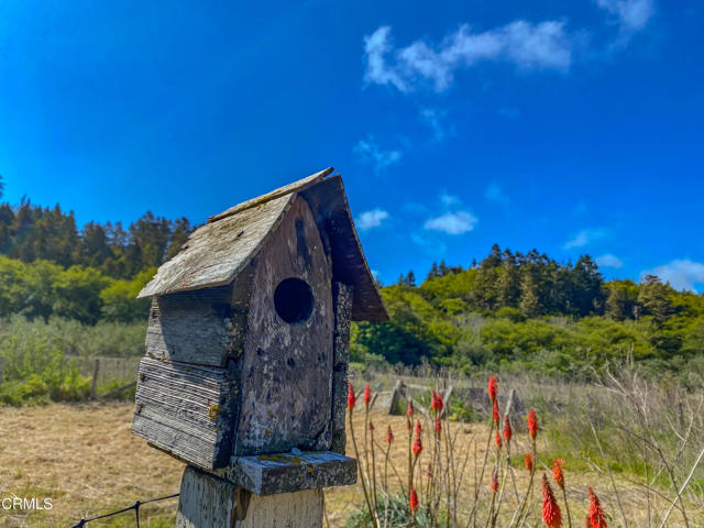 42000 Mountain View Road, Manchester CA: https://media.crmls.org/mediaz/598df0e9-1d37-4852-a293-e1f8b1f16efb.jpg