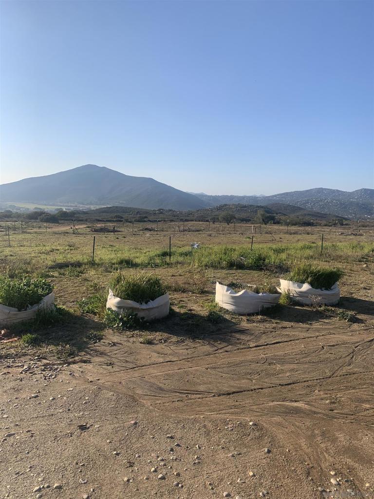 MLS #250034816SD image #42