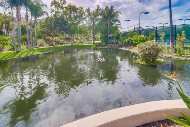 Detail Gallery Image 47 of 54 For 18752 Caminito Cantilena #176,  Rancho Bernardo (San Diego),  CA 92128 - 1 Beds | 1 Baths