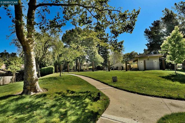 407 Tampico, Walnut Creek CA: https://media.crmls.org/mediaz/59b90201-d229-4b8e-9edf-956f29e1cc66.jpg
