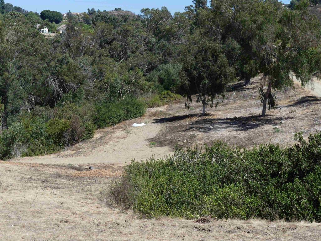 Paradise Glen Way San Marcos - photo 15