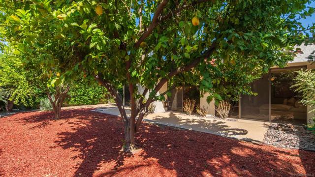 53 Colgate Dr, Rancho Mirage CA: https://media.crmls.org/mediaz/59baba47-b5f9-474f-ae5f-3d105718d799.jpg