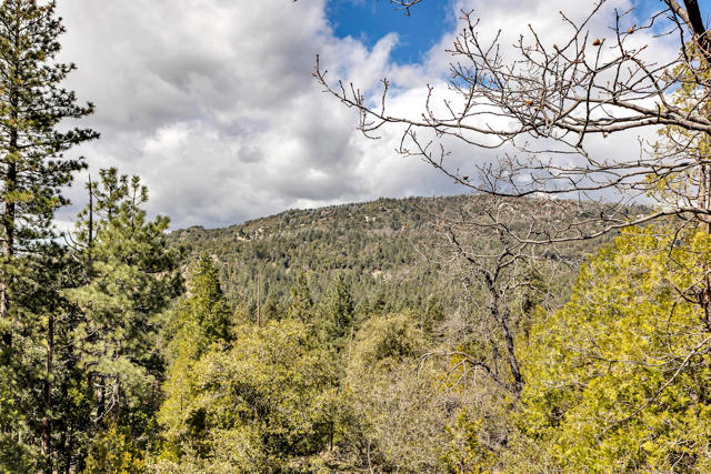 53184 Double View Drive, Idyllwild CA: https://media.crmls.org/mediaz/59c5d614-164a-4d1f-8097-b294dc64bed8.jpg