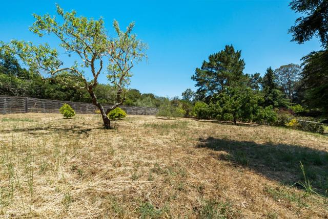 3773 Paul Sweet Road, Santa Cruz CA: https://media.crmls.org/mediaz/59d1797c-81a3-44b9-9c17-992e720041f0.jpg