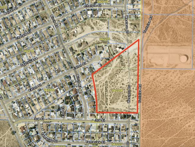 Image 5-19-25 at 5.36PM