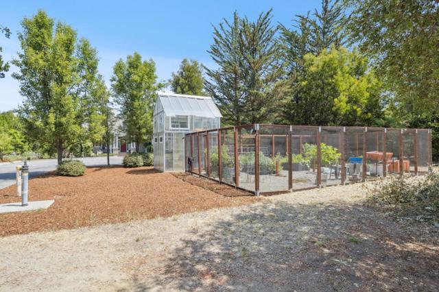 23583 Summit Road, Los Gatos CA: https://media.crmls.org/mediaz/59dc9b20-21cf-4439-b822-211be69dbe6b.jpg