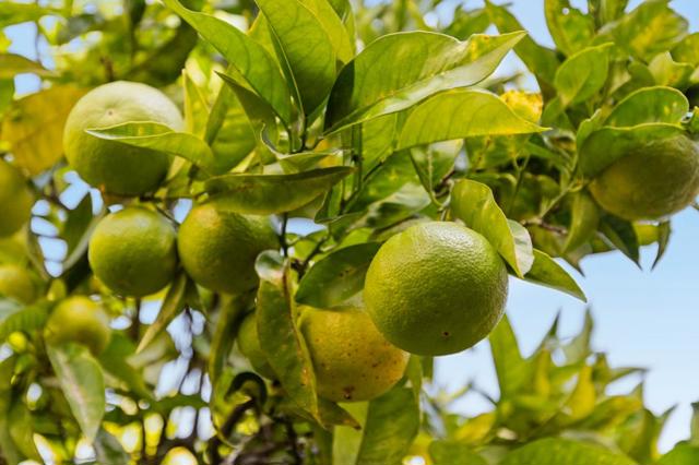 229 Marvilla Circle, Pacifica CA: https://media.crmls.org/mediaz/59dd1e8b-7f14-482b-8717-ec6e14145825.jpg