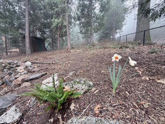 Detail Gallery Image 48 of 57 For 22258 Crestline Rd, Palomar Mountain,  CA 92060 - 3 Beds | 1 Baths