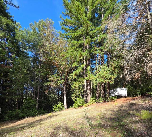 1140 Warren Drive, Santa Cruz CA: https://media.crmls.org/mediaz/59dfb4de-c19f-4c16-bf49-3823422fa2f9.jpg